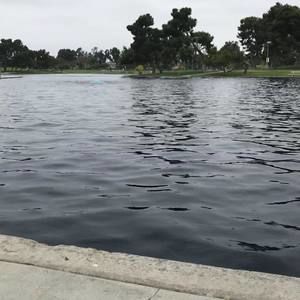 Meet your Posher, Adan